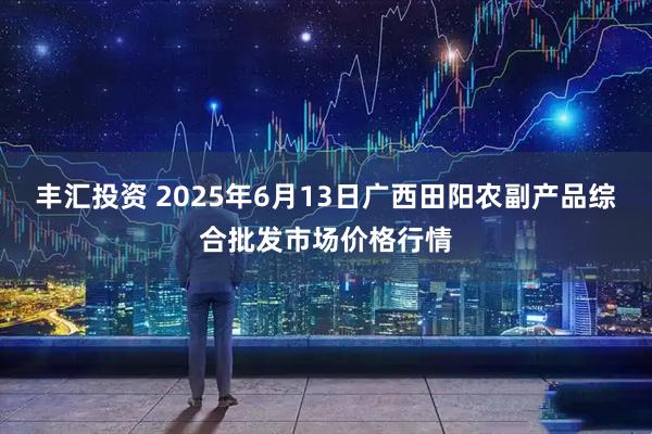 丰汇投资 2025年6月13日广西田阳农副产品综合批发市场价格行情