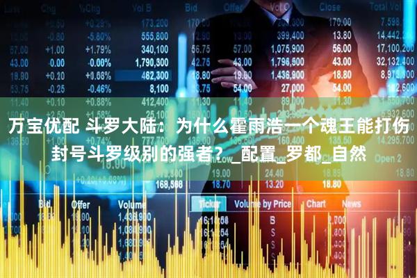万宝优配 斗罗大陆：为什么霍雨浩一个魂王能打伤封号斗罗级别的强者？_配置_罗都_自然